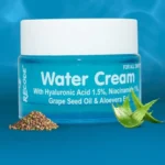 Recode Water Cream Moisturizer